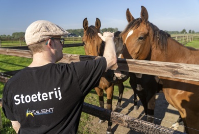 Op zoek naar leuke dagbestedingplek?